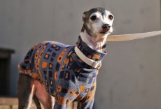 画像5: 吸湿発熱ソリストサーモ（オレンジ） (5)