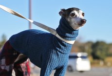 画像4: ワッフルニット+パイル起毛パンツ（アズール） (4)