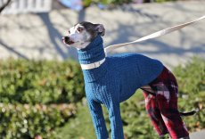 画像1: ワッフルニット+パイル起毛パンツ（アズール） (1)