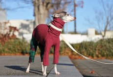 画像4: ワッフルニット+パイル起毛パンツ（ルビーレッド） (4)