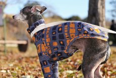 画像3: 吸湿発熱ソリストサーモ（オレンジ） (3)