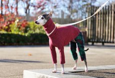 画像3: ワッフルニット+パイル起毛パンツ（ルビーレッド） (3)