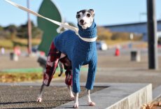 画像2: ワッフルニット+パイル起毛パンツ（アズール） (2)