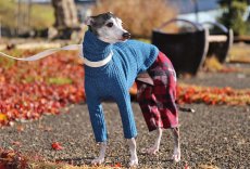 画像5: ワッフルニット+パイル起毛パンツ（アズール） (5)