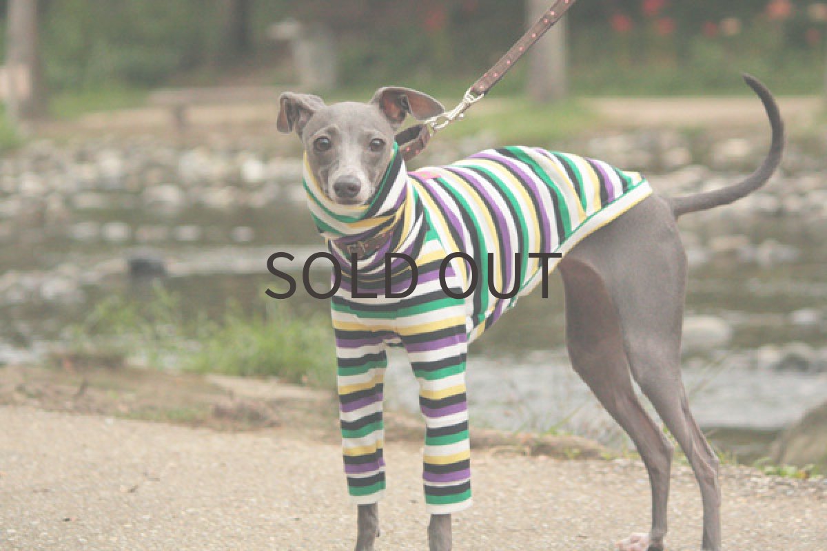 画像2: ベジボーダー (2)