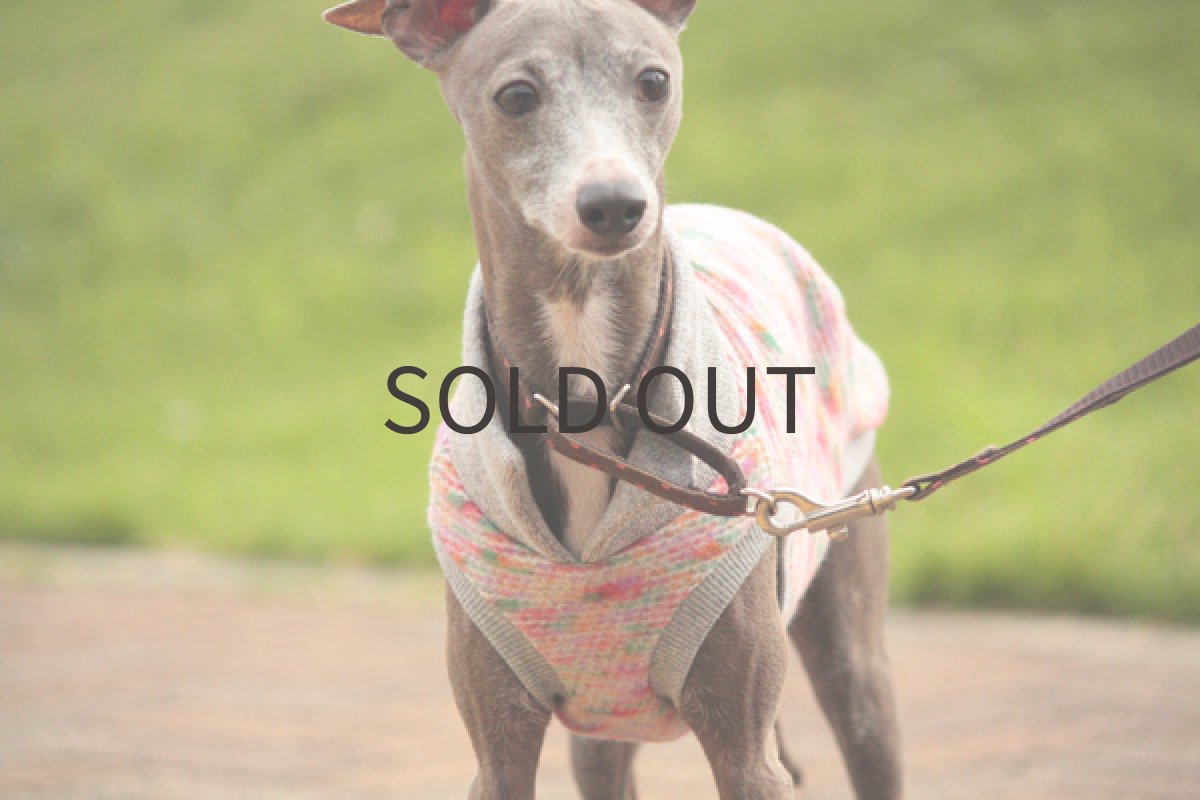 画像4: フワフワベスト（グレー） (4)