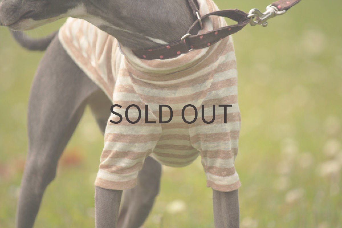 画像3: クシュクシュハイネック (3)