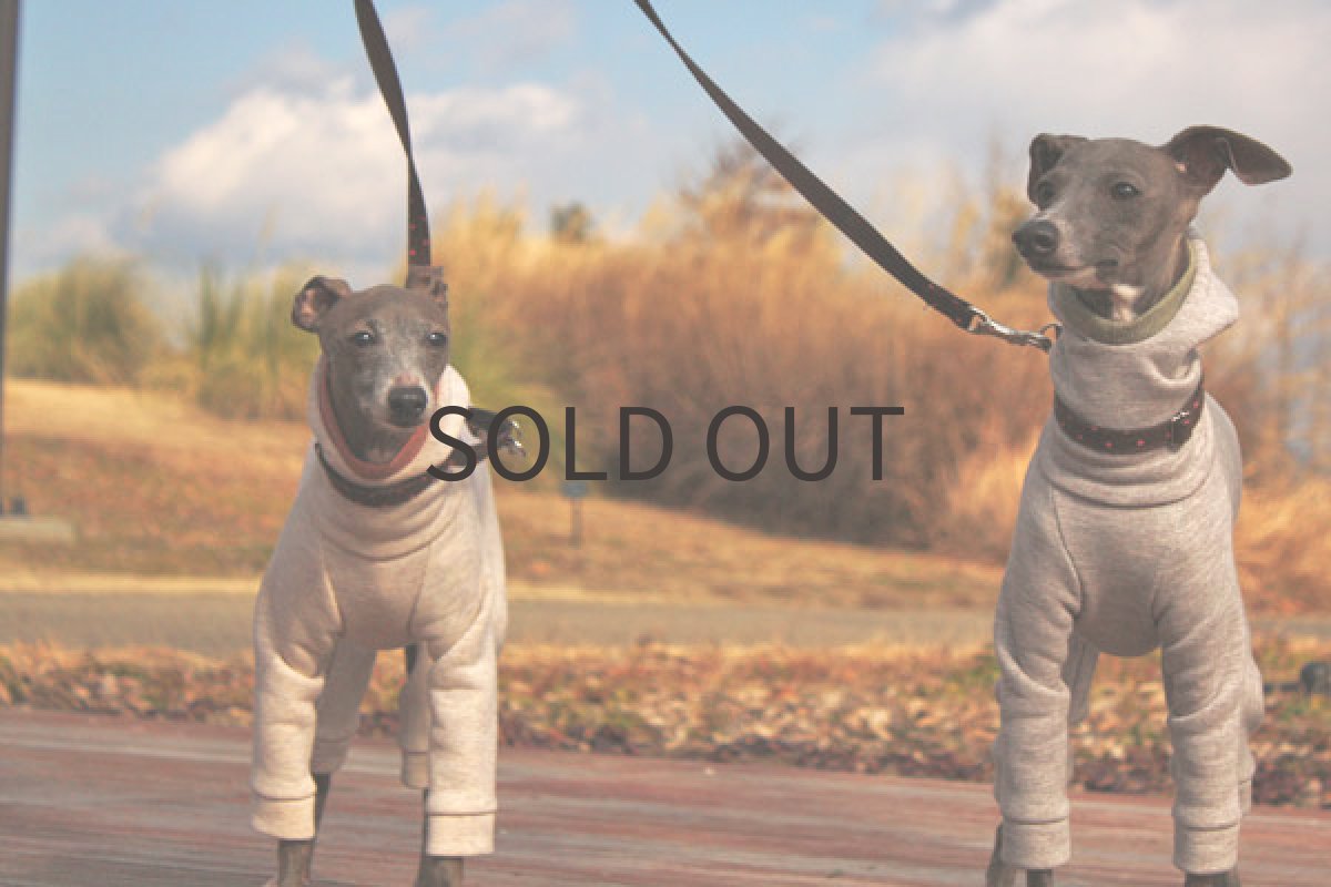 画像4: 裏起毛トレーナー(杢調オートミール) (4)