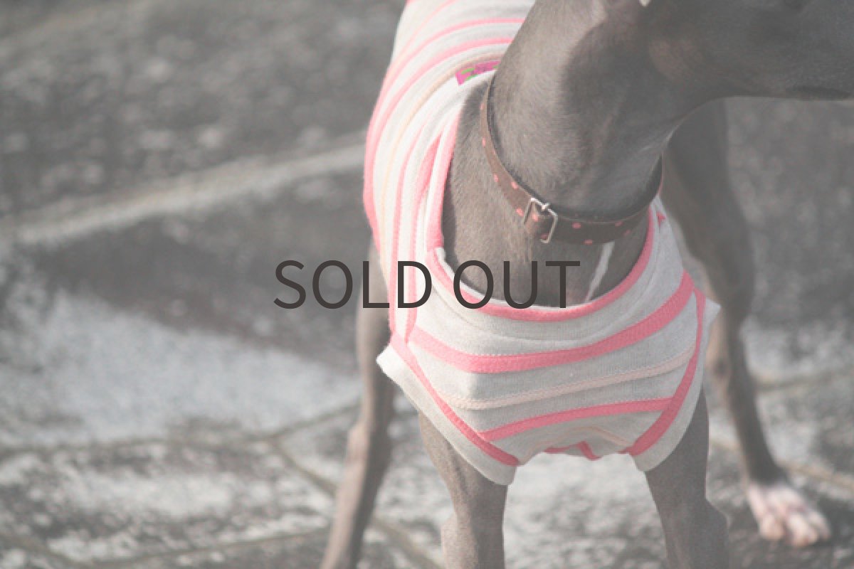 画像2: リップルボーダー(アイボリー) (2)