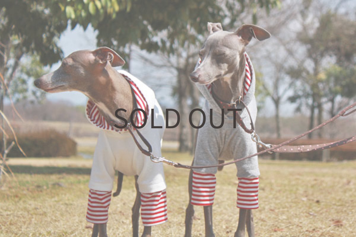 画像5: 重ね着風シャツ（グレー） (5)