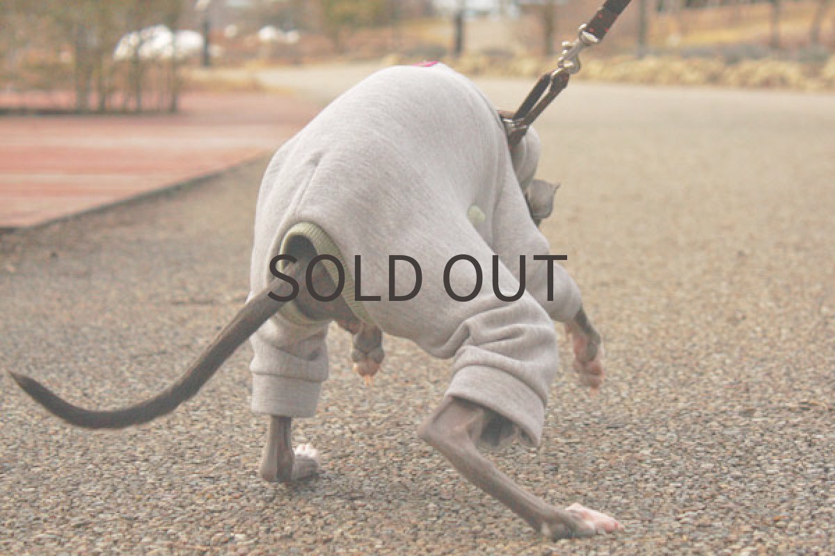 画像3: 裏起毛トレーナー(杢調グレー) (3)