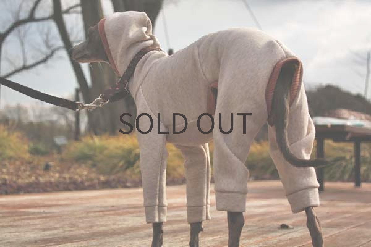 画像2: 裏起毛トレーナー(杢調オートミール) (2)