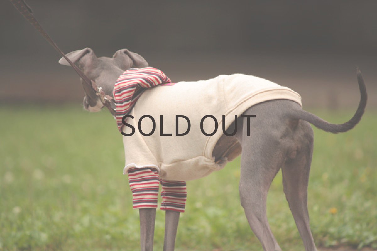 画像3: チューリップ袖の重ね着風(レッド) (3)