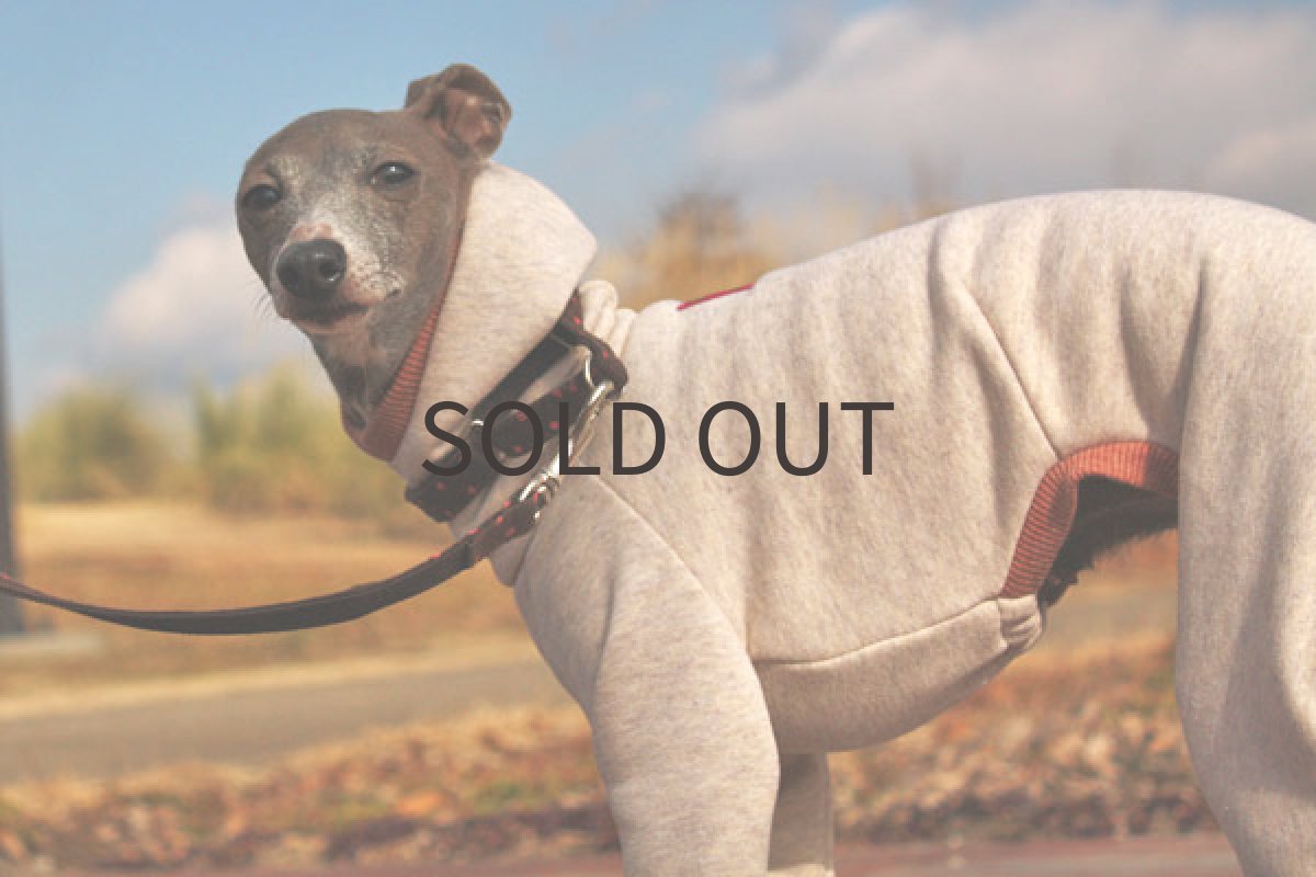 画像3: 裏起毛トレーナー(杢調オートミール) (3)