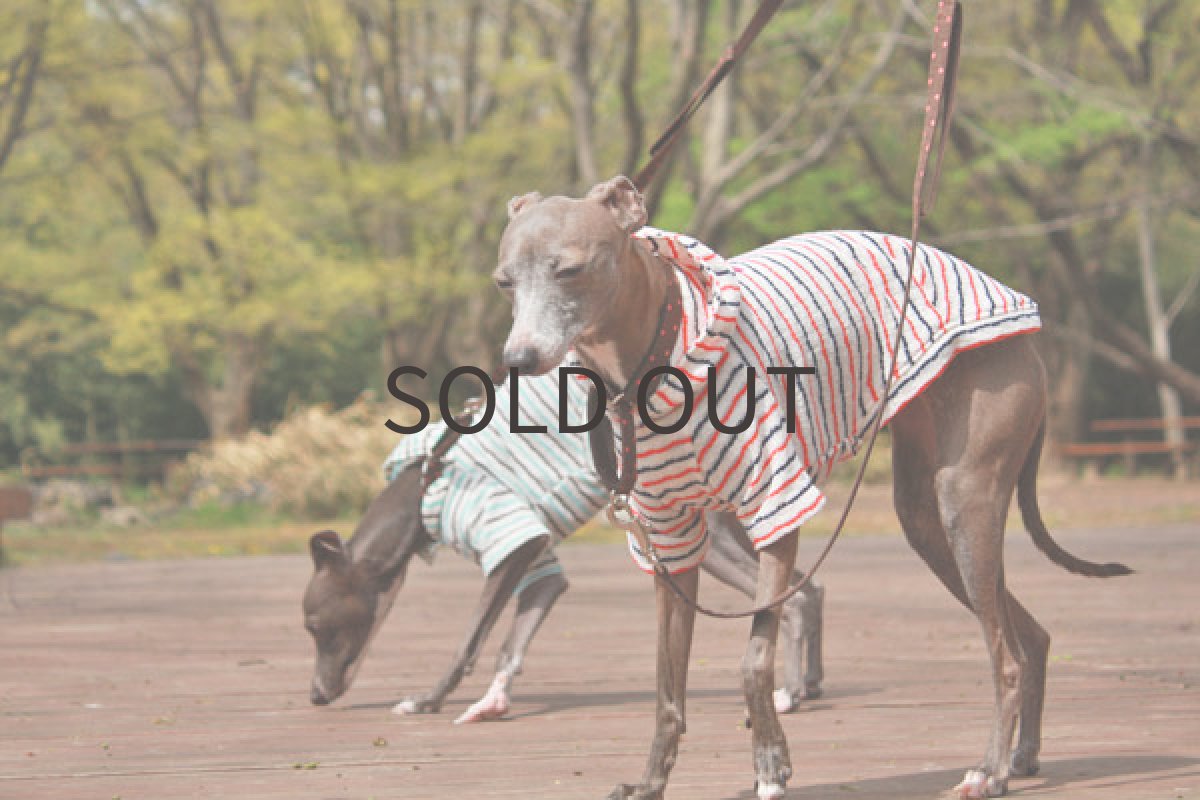 画像5: ゆらゆらマリンボーダー(ハピー・オレンジ×ネイビー) (5)