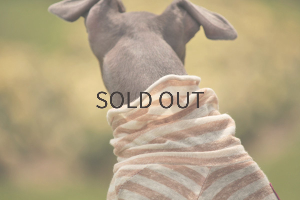 画像5: クシュクシュハイネック (5)