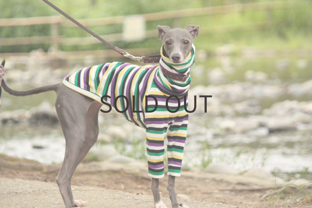 画像5: ベジボーダー (5)