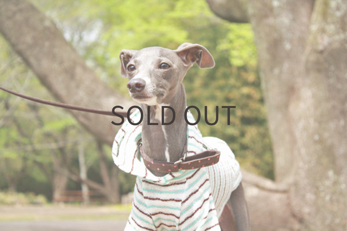 画像2: ゆらゆらマリンボーダー（アクア×チョコ） (2)