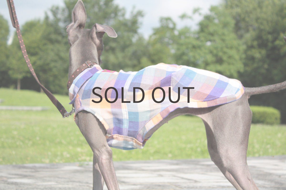 画像2: サマーチェックシャツ (2)