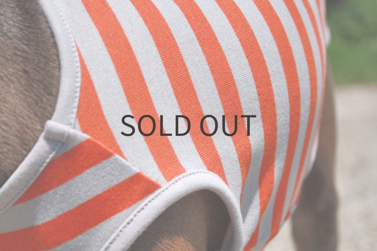 画像5: オレンジボーダー (5)