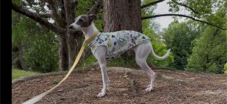 レビュー308-投稿画像1