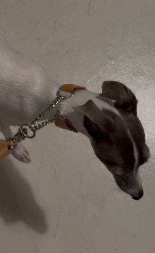 レビュー338-投稿画像3