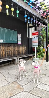 レビュー306-投稿画像1