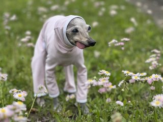 レビュー290-投稿画像1