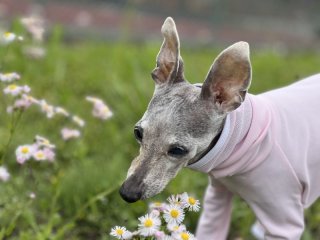 レビュー290-投稿画像2