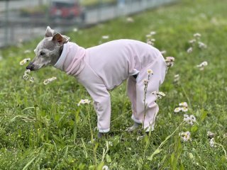 レビュー290-投稿画像3