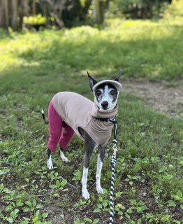 レビュー289-投稿画像1