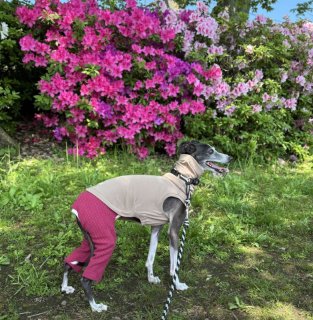 レビュー289-投稿画像3