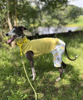 レビュー307-投稿画像2