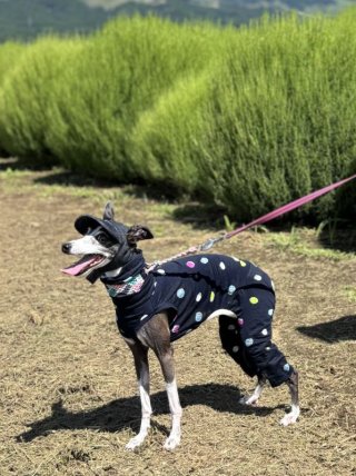 レビュー332-投稿画像3