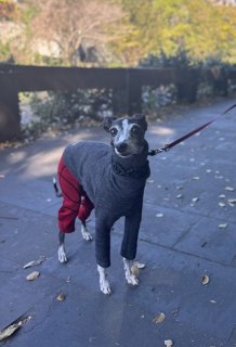 レビュー356-投稿画像2