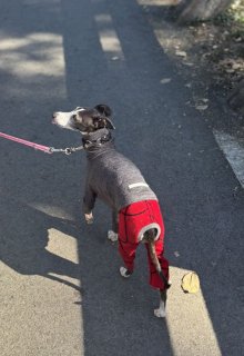 レビュー356-投稿画像3