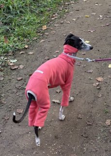 レビュー357-投稿画像3