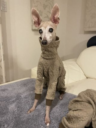 レビュー352-投稿画像1