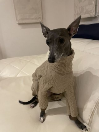 レビュー352-投稿画像3