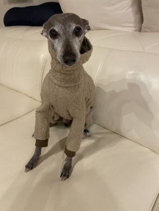 レビュー352-投稿画像2