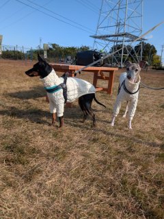 レビュー359-投稿画像1