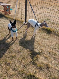 レビュー359-投稿画像2