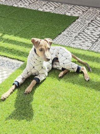 レビュー351-投稿画像1