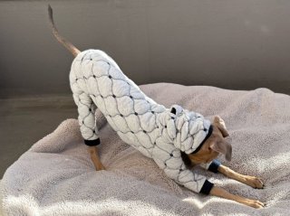 レビュー351-投稿画像2