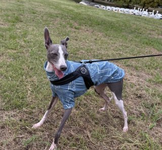 レビュー340-投稿画像1