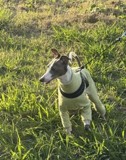 レビュー350-投稿画像1