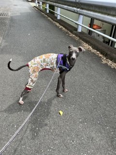 レビュー314-投稿画像1