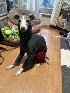 レビュー353-投稿画像1