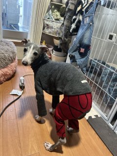 レビュー353-投稿画像2