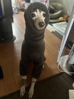 レビュー363-投稿画像1